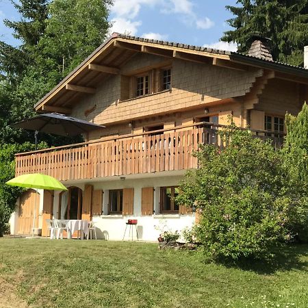 Chalet les Marmottes Saint-Jean-de-Sixt Extérieur photo