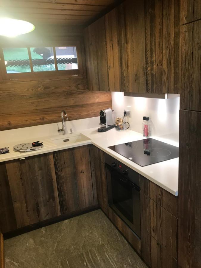 Chalet les Marmottes Saint-Jean-de-Sixt Extérieur photo