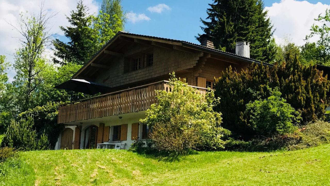 Chalet les Marmottes Saint-Jean-de-Sixt Extérieur photo
