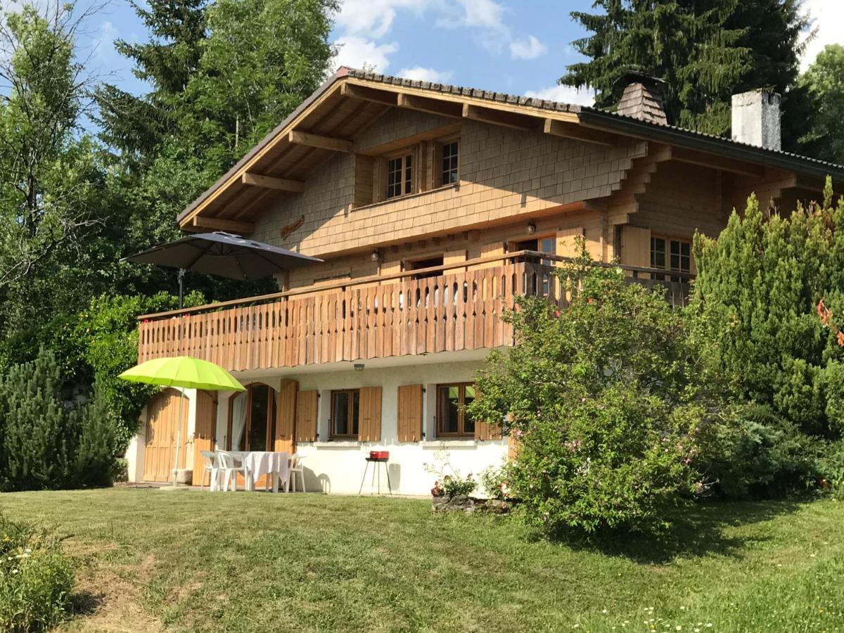 Chalet les Marmottes Saint-Jean-de-Sixt Extérieur photo