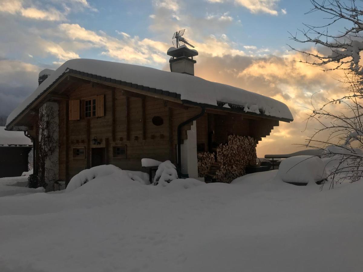 Chalet les Marmottes Saint-Jean-de-Sixt Extérieur photo