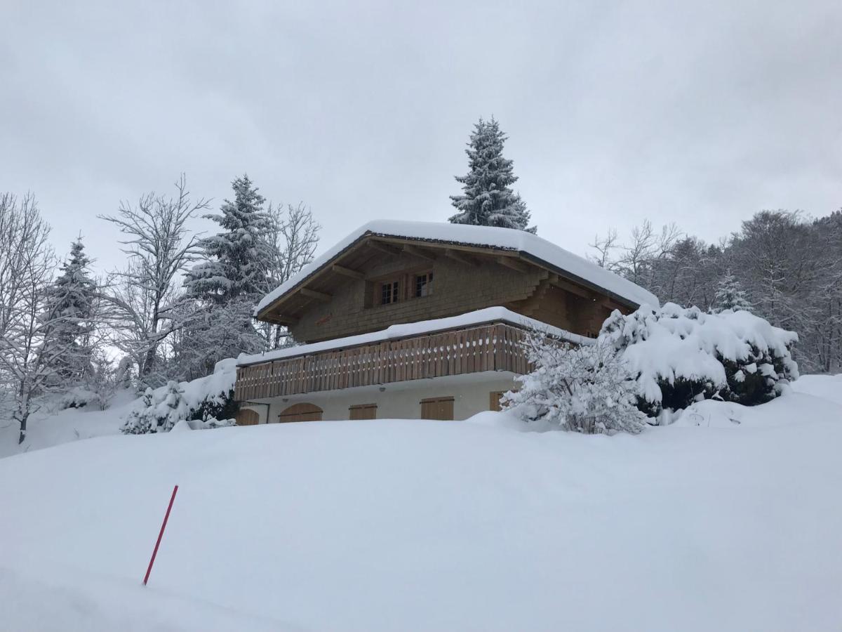 Chalet les Marmottes Saint-Jean-de-Sixt Extérieur photo